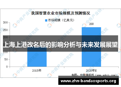 上海上港改名后的影响分析与未来发展展望
