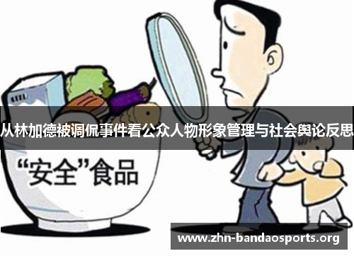 从林加德被调侃事件看公众人物形象管理与社会舆论反思